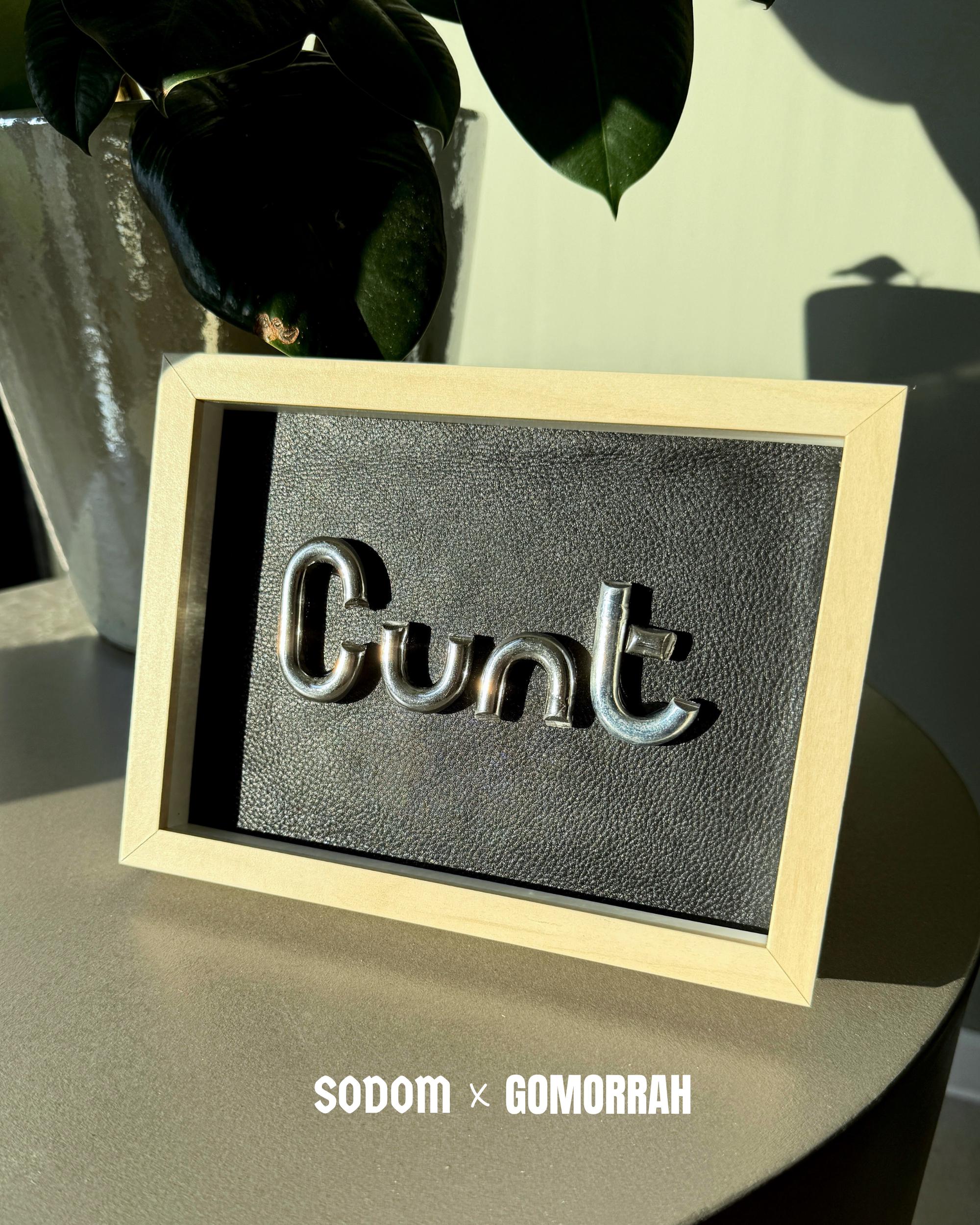 CUNT Chain Art in Leather Frame